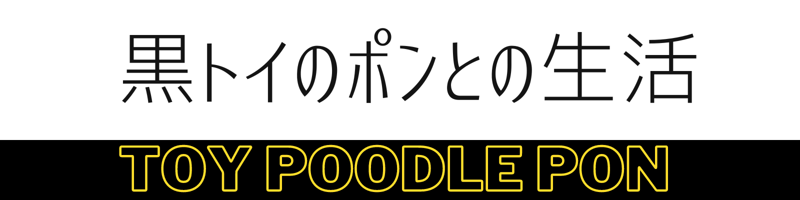 黒トイのポンとの生活